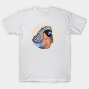 Eurasian bullfinch T-Shirt